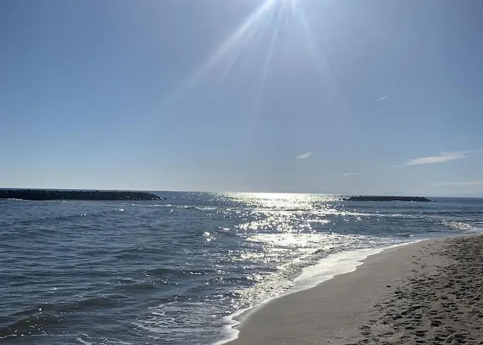 Exceptionnel Avec Vue *